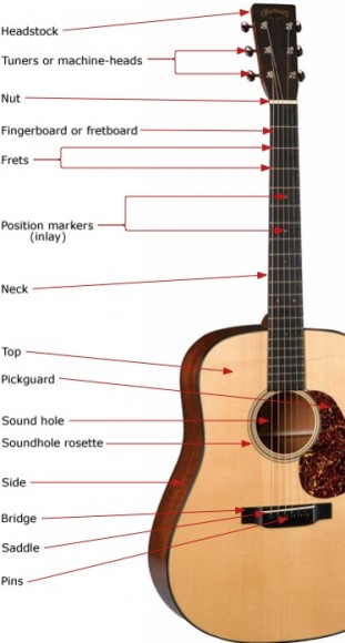 Guitar Anatomy - The Parts Of Electric And Acoustic Guitars | Guitarless